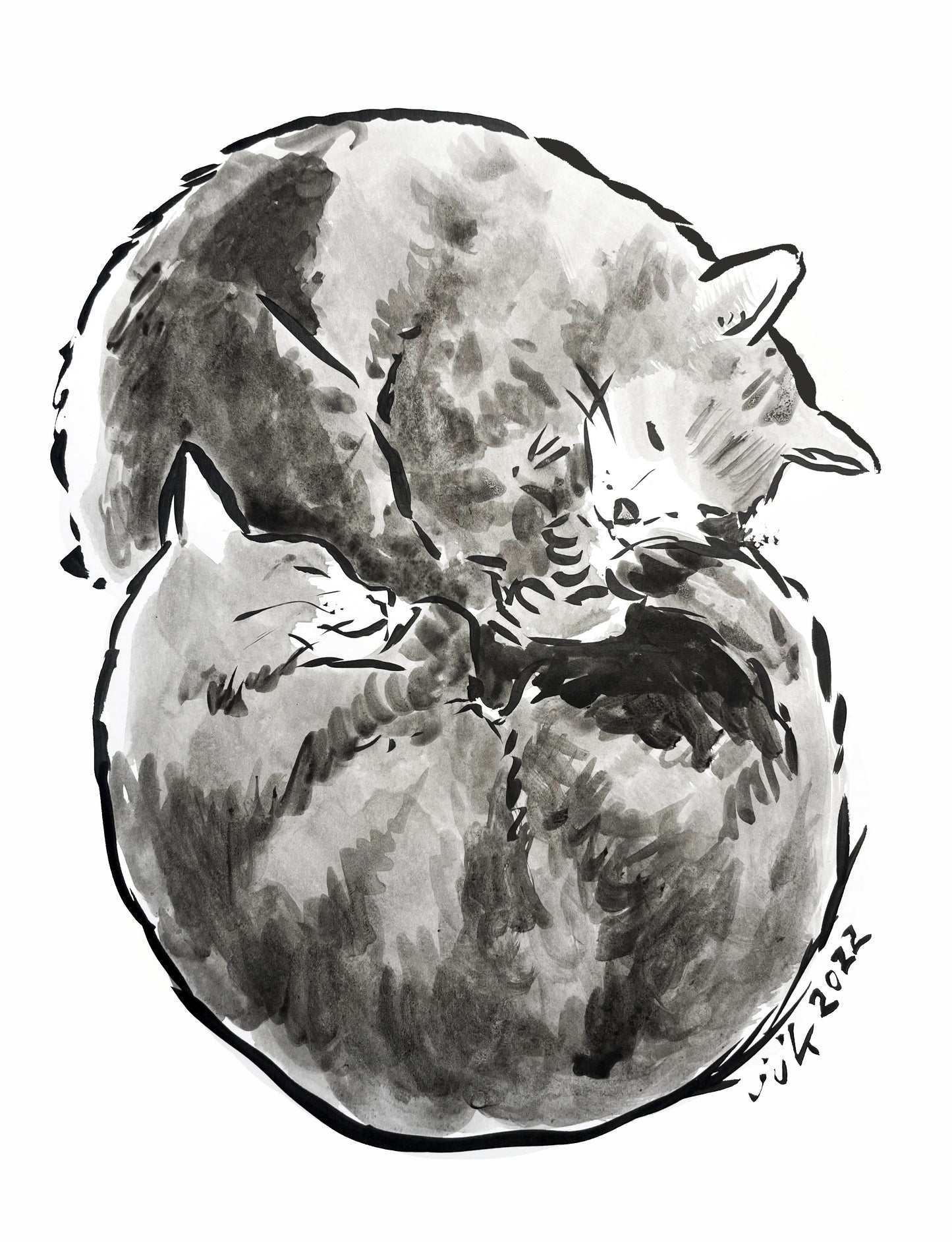 Your TWO Cats: Custom Pet Portrait Hand-Drawn by Jarrett J. Krosoczka!