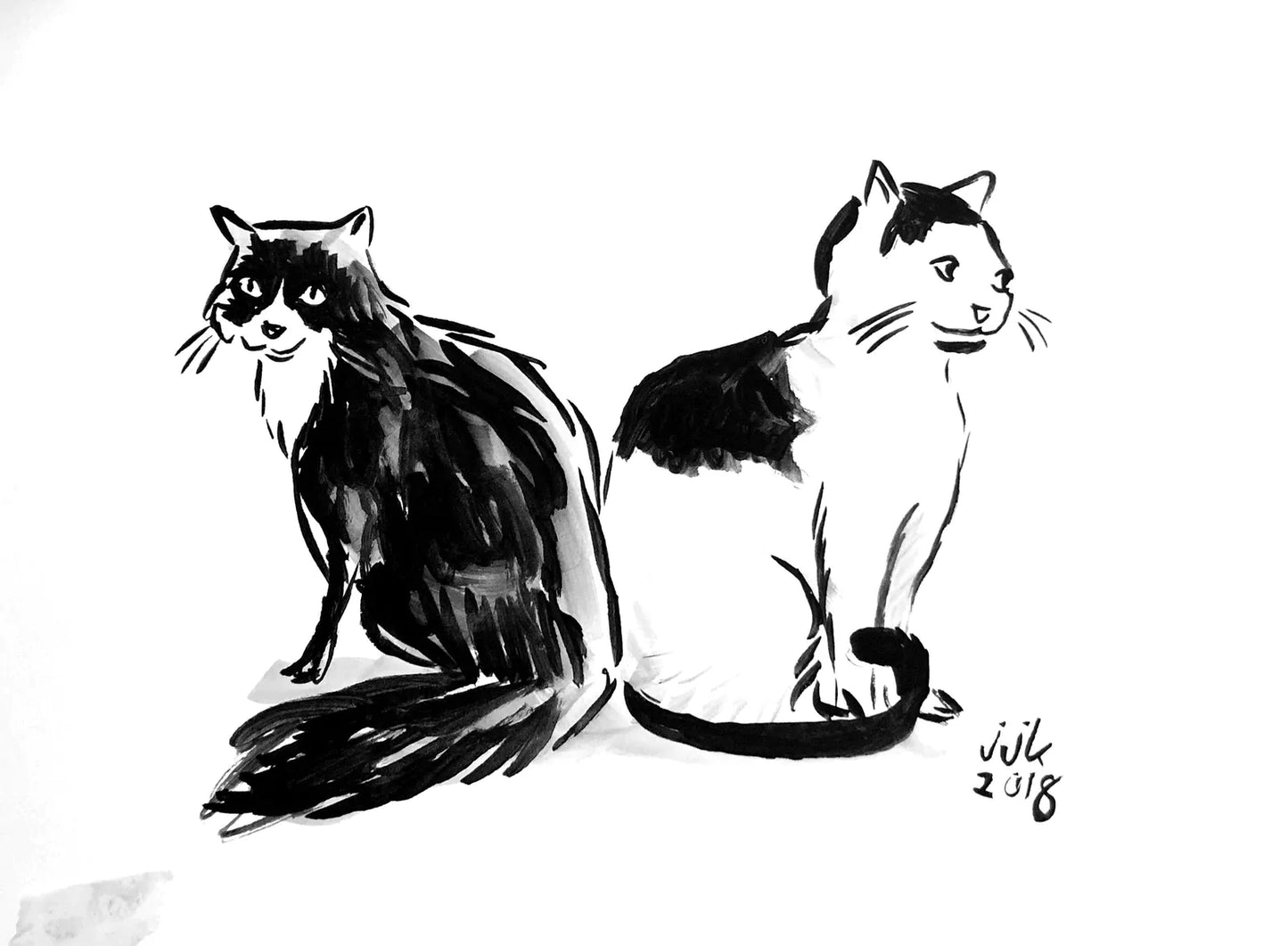 Your TWO Cats drawn by Jarrett J. Krosoczka!