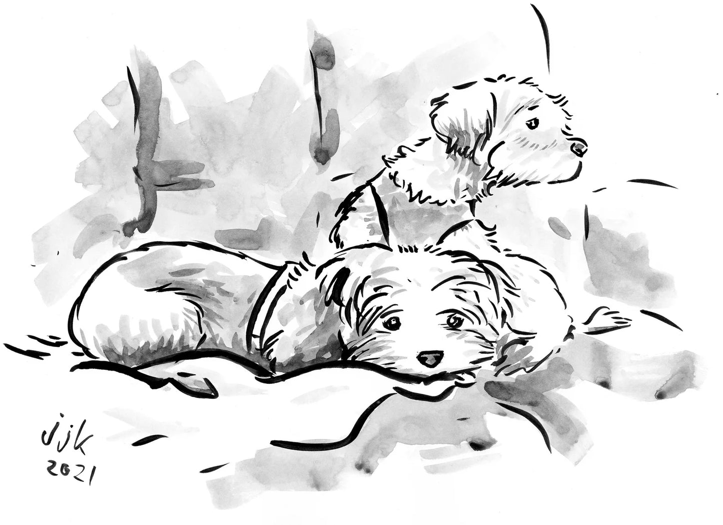 Your TWO Dogs drawn by Jarrett J. Krosoczka!