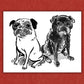 Your TWO Dogs: Custom Pet Portrait Hand-Drawn by Jarrett J. Krosoczka!