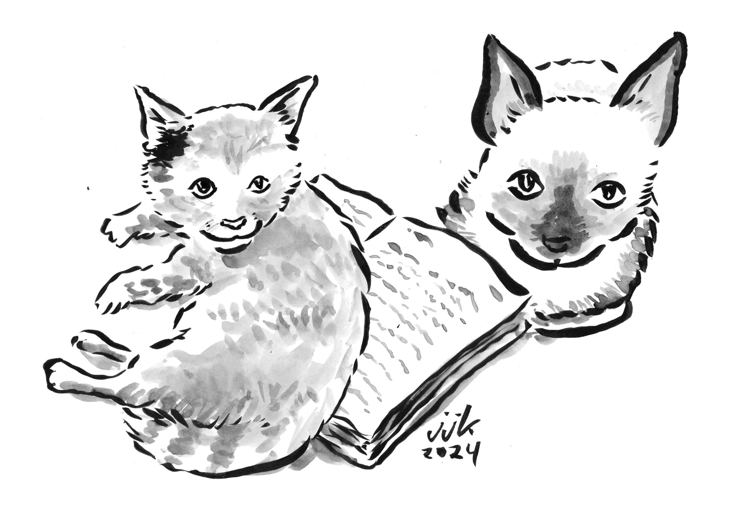 Your TWO Cats drawn by Jarrett J. Krosoczka!