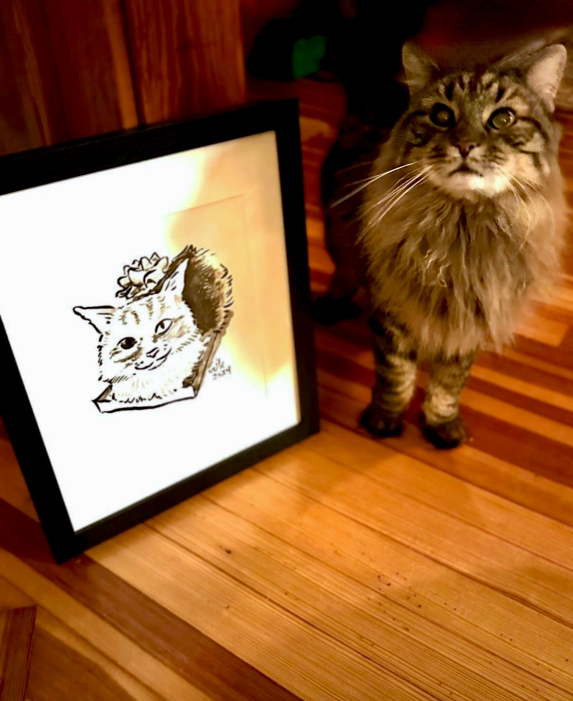 Your Cat Drawn by Jarrett J. Krosoczka!