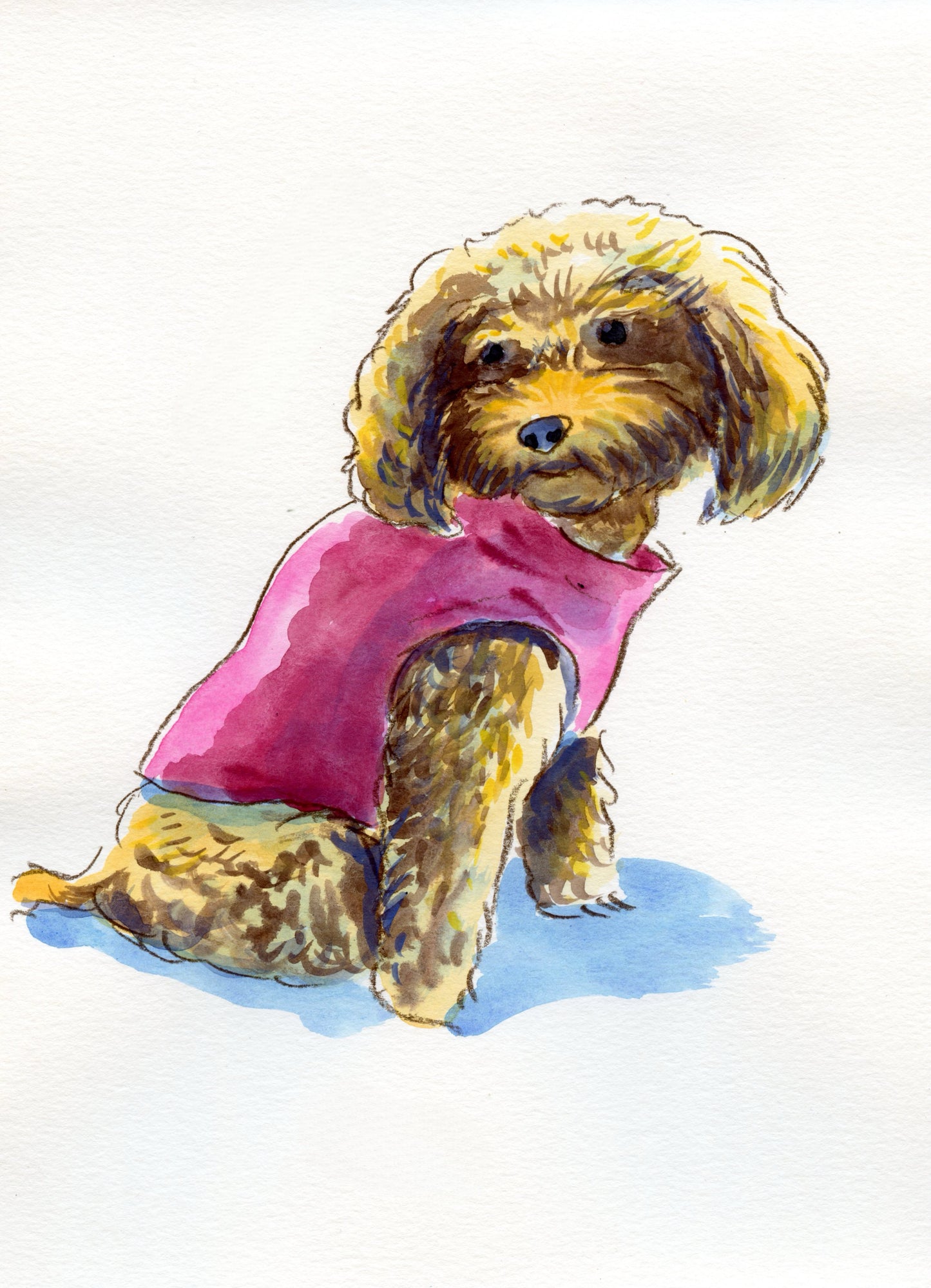 Your Pet Painted in Watercolors by Jarrett J. Krosoczka