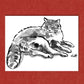 Your Cat: Custom Pet Portrait Hand-Drawn by Jarrett J. Krosoczka!