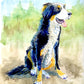 Custom Pet Portrait Hand-Painted in Watercolors by Jarrett J. Krosoczka