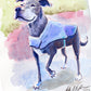 Your Pet Painted in Watercolors by Jarrett J. Krosoczka
