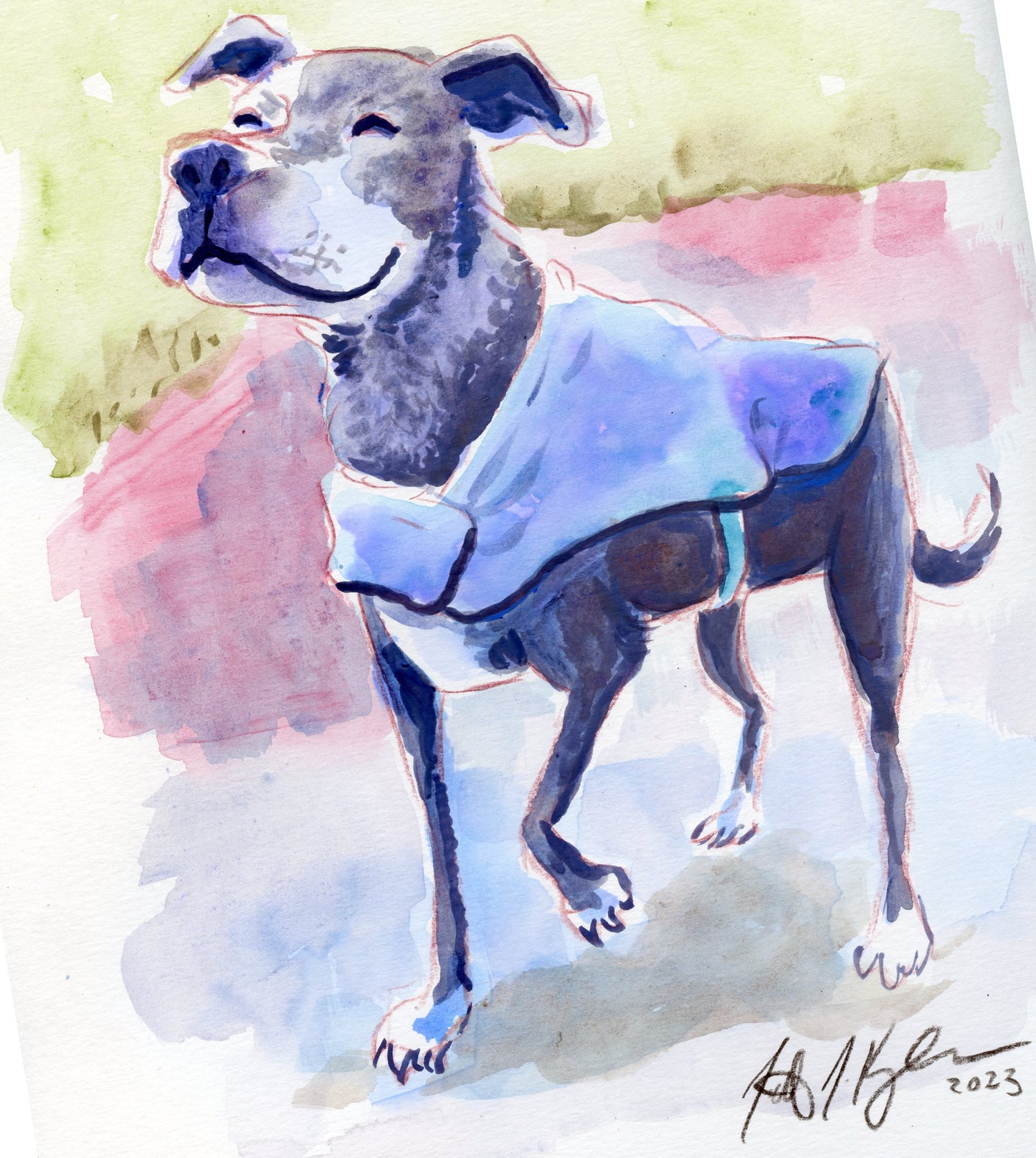 Your Pet Painted in Watercolors by Jarrett J. Krosoczka