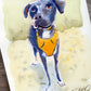 Your Pet Painted in Watercolors by Jarrett J. Krosoczka