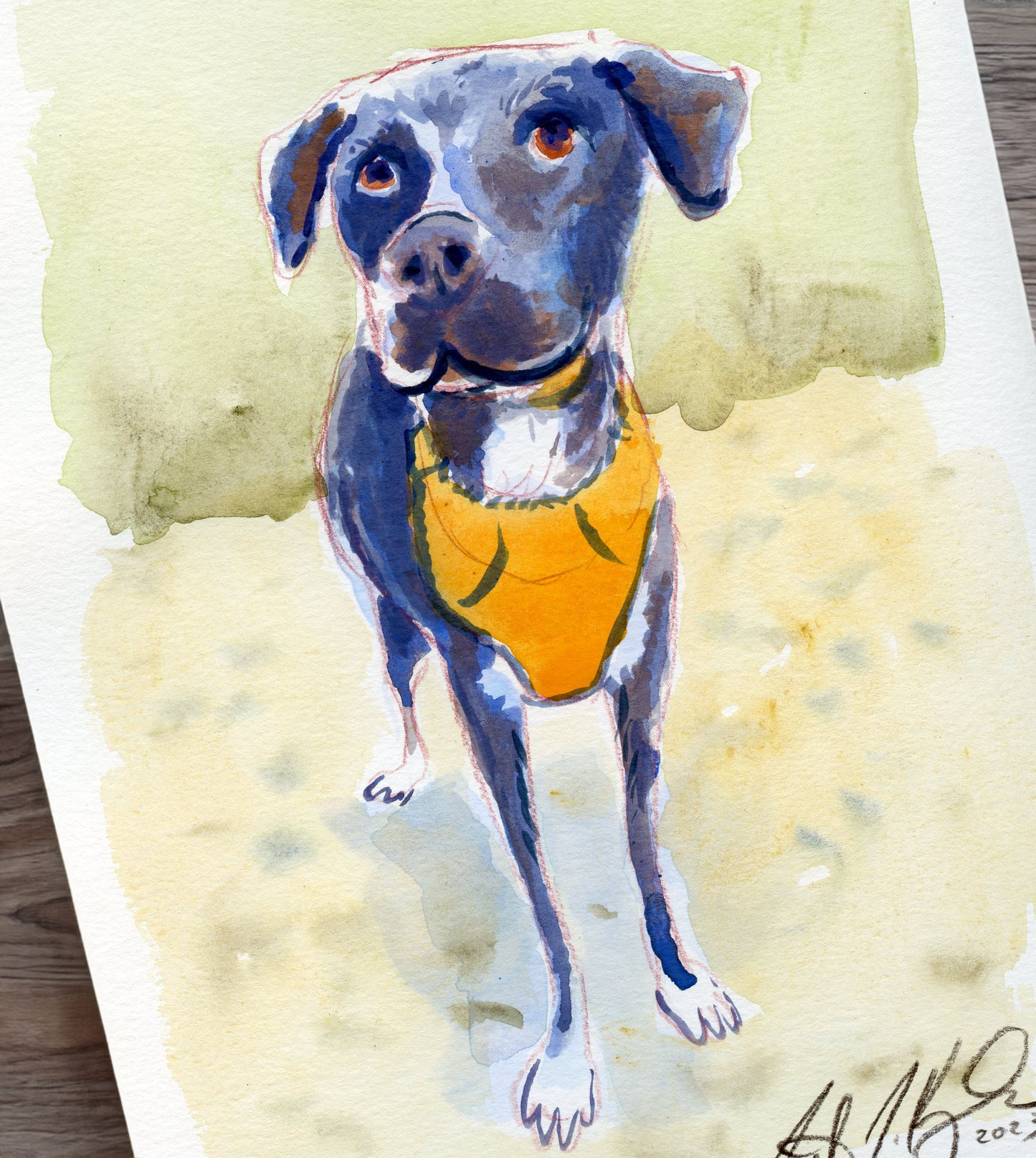 Your Pet Painted in Watercolors by Jarrett J. Krosoczka