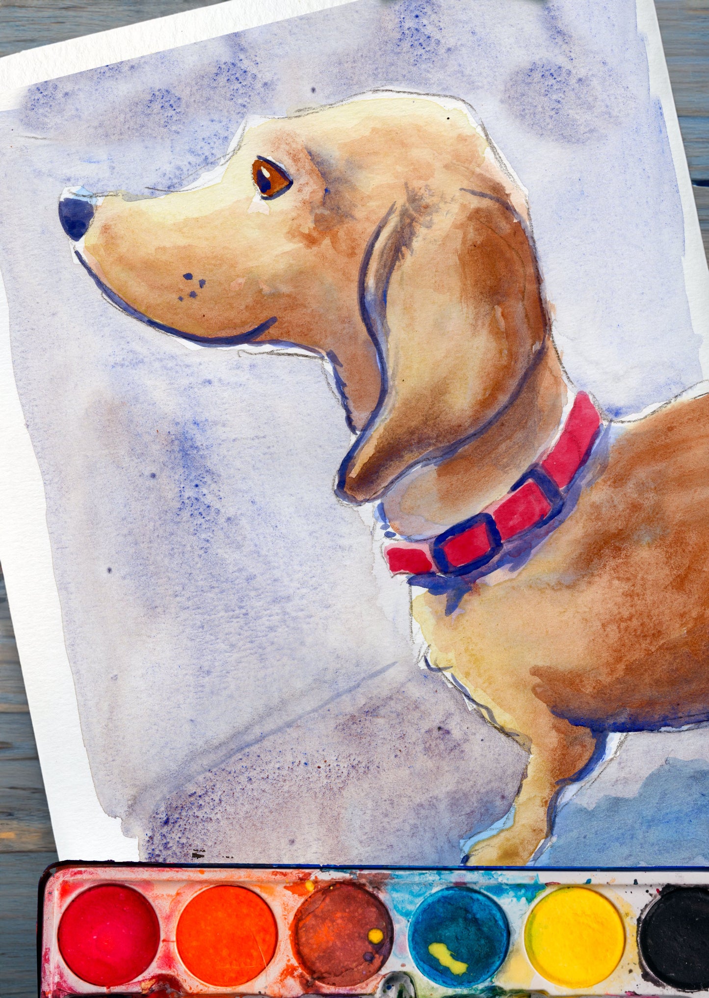 Your Pet Painted in Watercolors by Jarrett J. Krosoczka