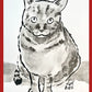 Your Cat Drawn by Jarrett J. Krosoczka!