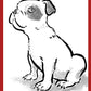 Your Dog Drawn by Jarrett J. Krosoczka!