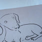 Your Pet Painted in Watercolors by Jarrett J. Krosoczka