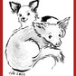 Your TWO Dogs drawn by Jarrett J. Krosoczka!