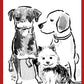 Your THREE Pets drawn by Jarrett J. Krosoczka!
