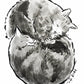 Your TWO Cats drawn by Jarrett J. Krosoczka!