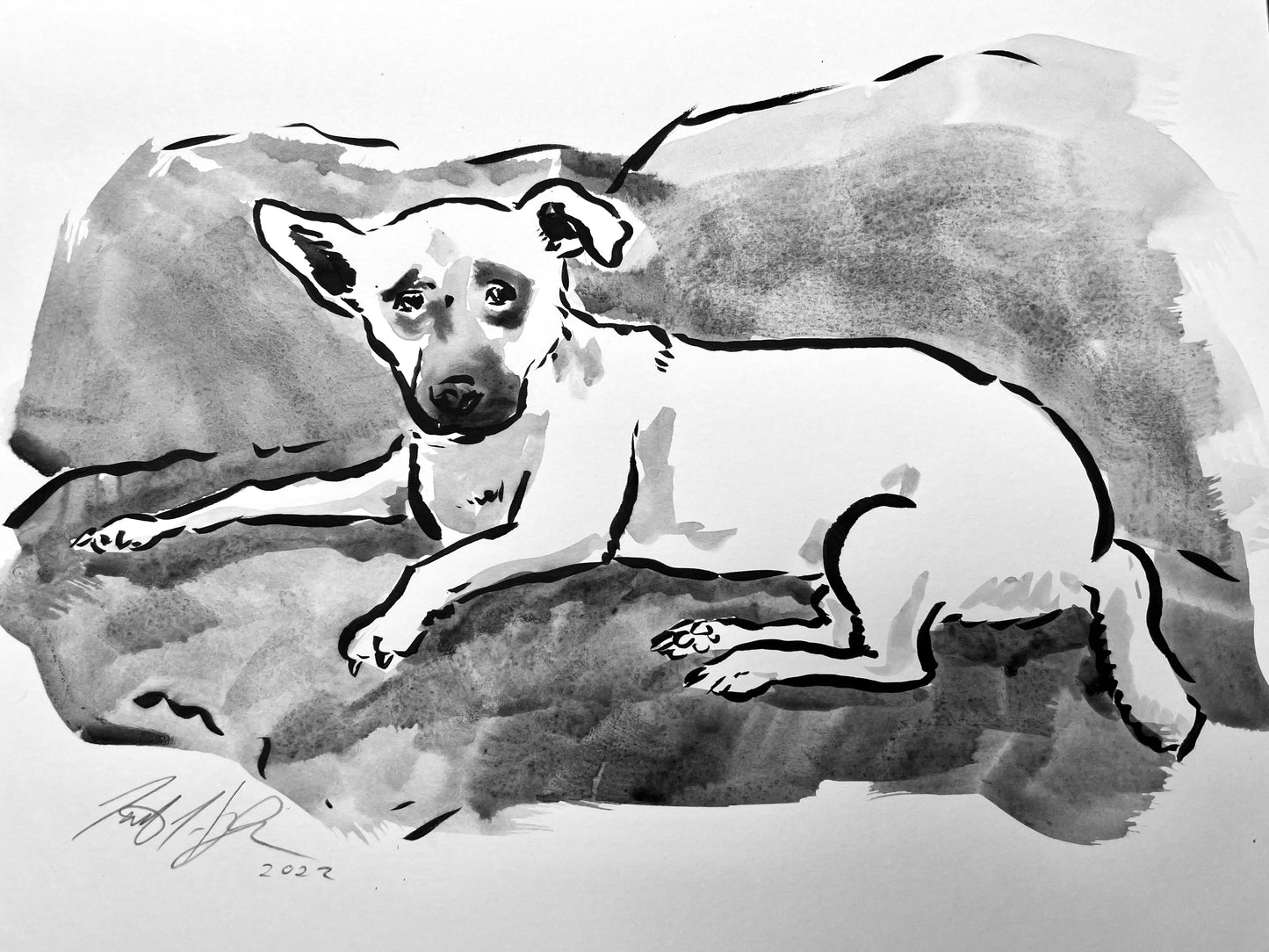 Your Dog Drawn by Jarrett J. Krosoczka!