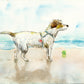 Your Pet Painted in Watercolors by Jarrett J. Krosoczka