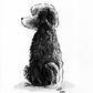 Your Dog Drawn by Jarrett J. Krosoczka!
