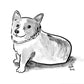 Your Dog Drawn by Jarrett J. Krosoczka!