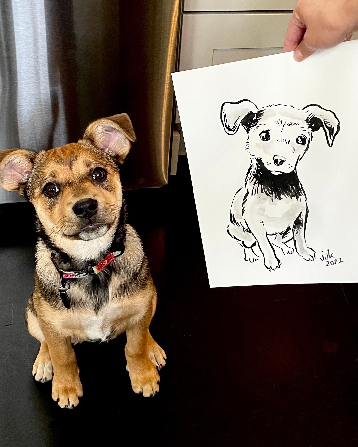 Your Dog Drawn by Jarrett J. Krosoczka!