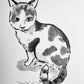 Your Cat Drawn by Jarrett J. Krosoczka!