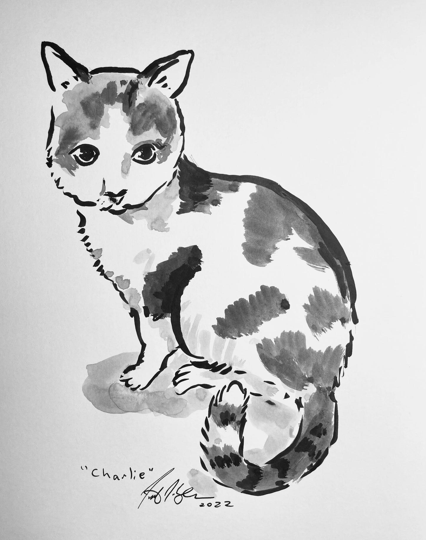 Your Cat Drawn by Jarrett J. Krosoczka!