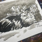 Your Cat Drawn by Jarrett J. Krosoczka!