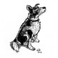 Your Dog Drawn by Jarrett J. Krosoczka!