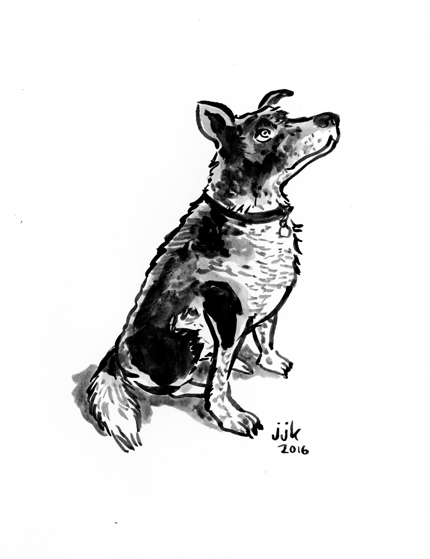 Your Dog Drawn by Jarrett J. Krosoczka!